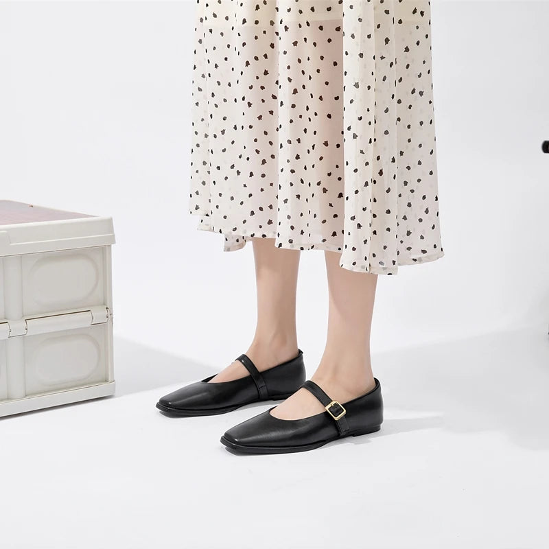 Ballet Shoes